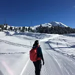 Falkner Апартаменты Roppen