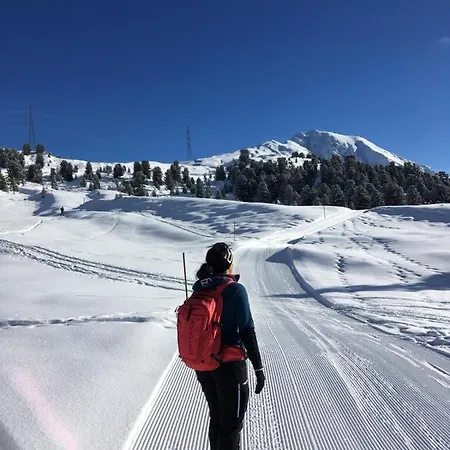 Falkner Apartmán Roppen