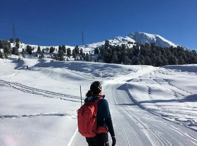 Falkner Appartement Roppen